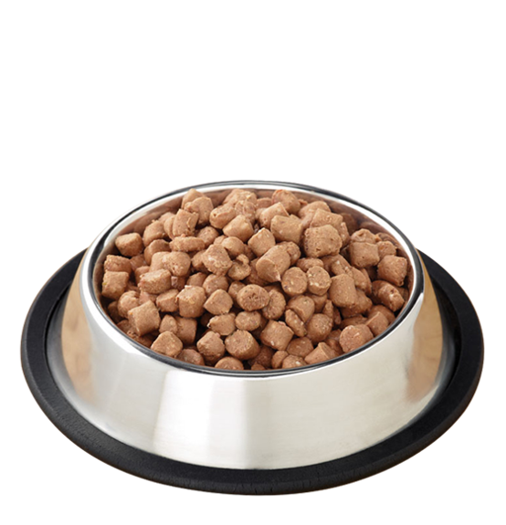 Pet Supplies